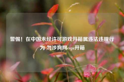 警惕!在中国未经许可游戏开箱属违法违规行为 勿涉狗网csgo开箱