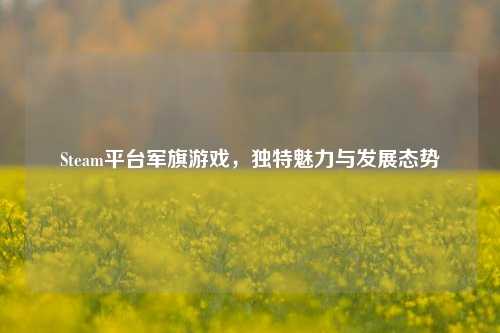 Steam平台军旗游戏，独特魅力与发展态势