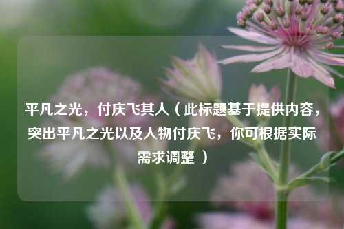 平凡之光，付庆飞其人（此标题基于提供内容，突出平凡之光以及人物付庆飞，你可根据实际需求调整 ）
