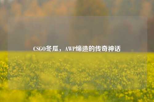 CSGO冬瓜，AWP缔造的传奇神话