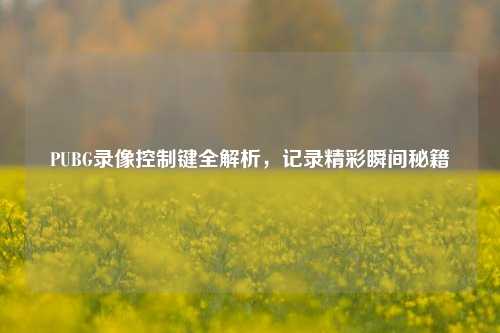 PUBG录像控制键全解析，记录精彩瞬间秘籍