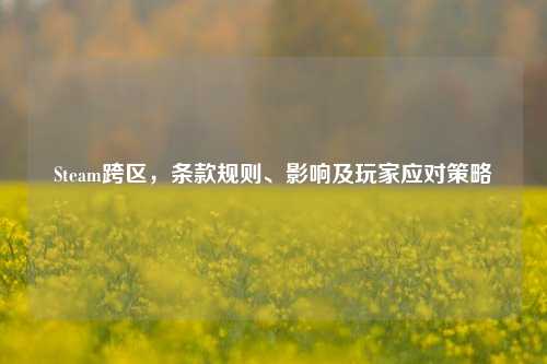 Steam跨区，条款规则、影响及玩家应对策略