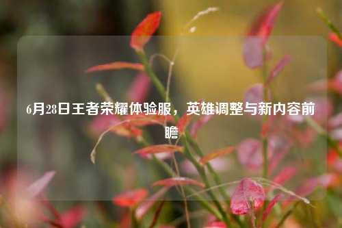 6月28日王者荣耀体验服,英雄调整与新内容前瞻