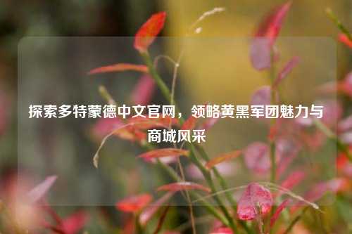 探索多特蒙德中文官网,领略黄黑军团魅力与商城风采
