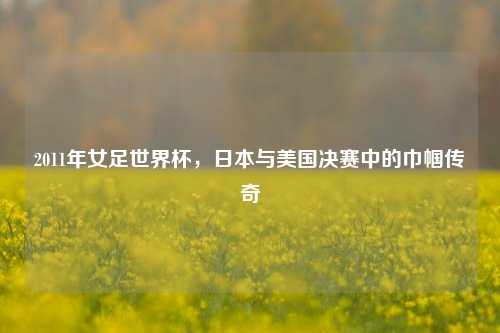 2011年女足世界杯,日本与美国决赛中的巾帼传奇