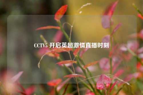 CCTV5 开启英超激情直播时刻