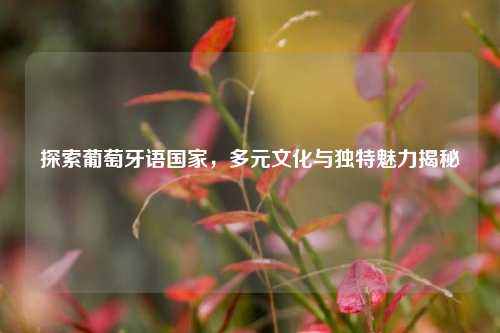 探索葡萄牙语国家，多元文化与独特魅力揭秘