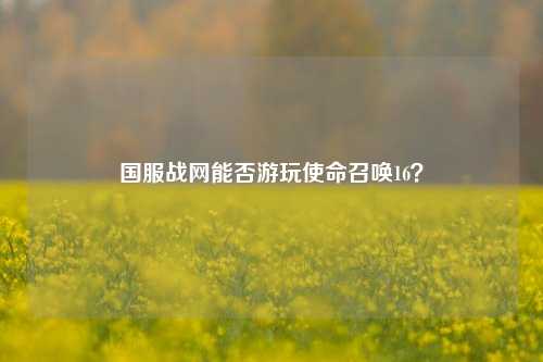 国服战网能否游玩使命召唤16？