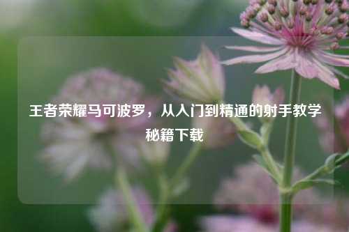 王者荣耀马可波罗，从入门到精通的射手教学秘籍下载