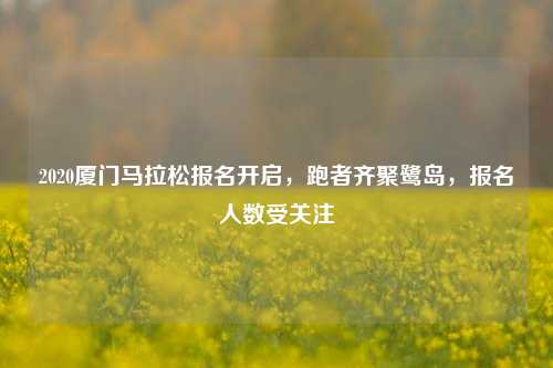 2020厦门马拉松报名开启，跑者齐聚鹭岛，报名人数受关注