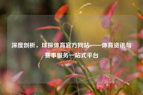 深度剖析，球探体育官方网站——体育资讯与赛事服务一站式平台