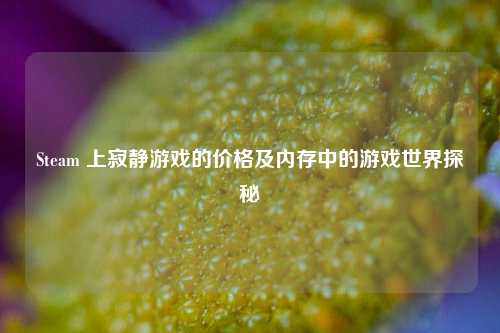 Steam 上寂静游戏的价格及内存中的游戏世界探秘