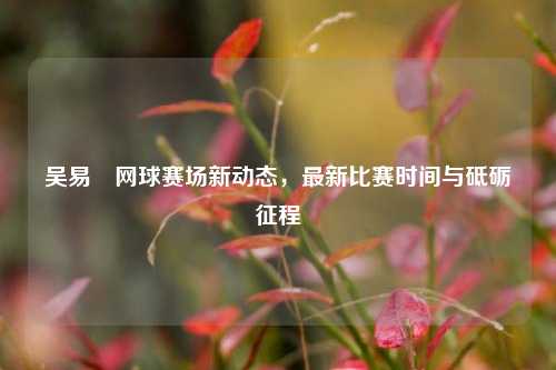 吴易昺网球赛场新动态，最新比赛时间与砥砺征程