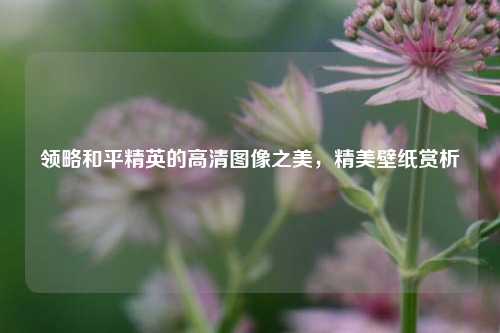 领略和平精英的高清图像之美，精美壁纸赏析