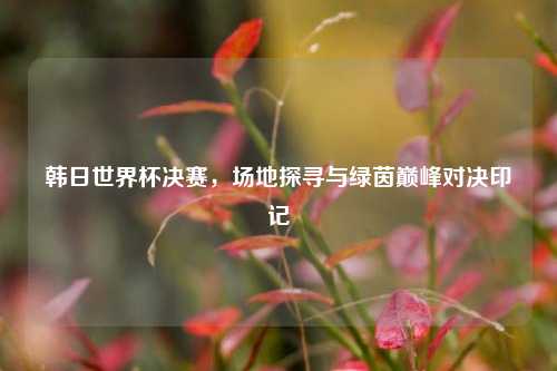 韩日世界杯决赛,场地探寻与绿茵巅峰对决印记