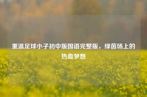 重温足球小子初中版国语完整版，绿茵场上的热血梦想