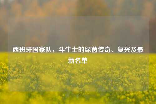西班牙国家队,斗牛士的绿茵传奇、复兴及最新名单
