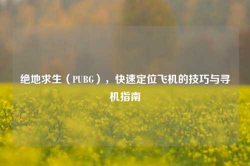 绝地求生（PUBG），快速定位飞机的技巧与寻机指南