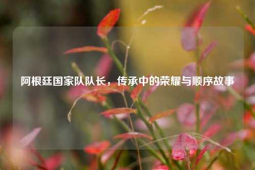 阿根廷国家队队长，传承中的荣耀与顺序故事
