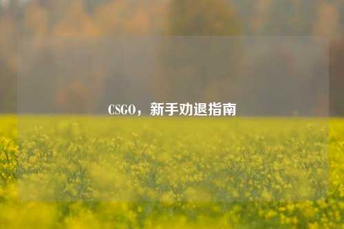 CSGO，新手劝退指南