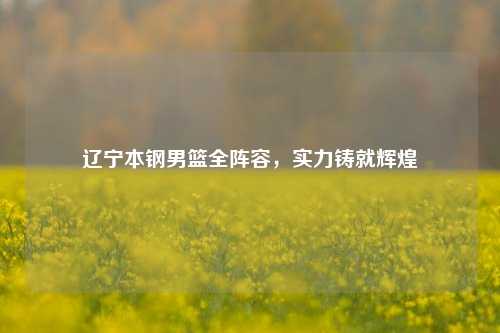 辽宁本钢男篮全阵容，实力铸就辉煌