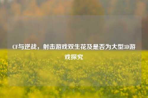 CF与逆战，射击游戏双生花及是否为大型3D游戏探究