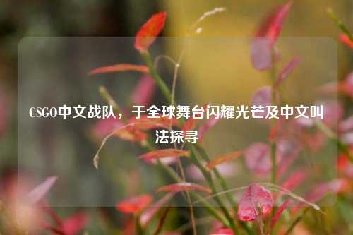CSGO中文战队，于全球舞台闪耀光芒及中文叫法探寻