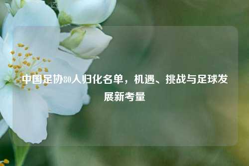 中国足协80人归化名单，机遇、挑战与足球发展新考量