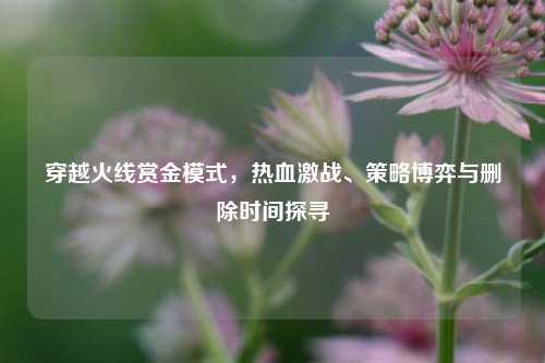 穿越火线赏金模式，热血激战、策略博弈与删除时间探寻