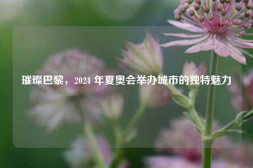 璀璨巴黎,2024 年夏奥会举办城市的独特魅力