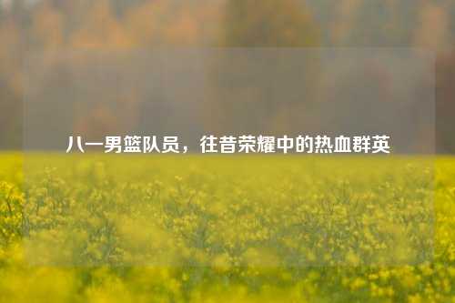 八一男篮队员,往昔荣耀中的热血群英
