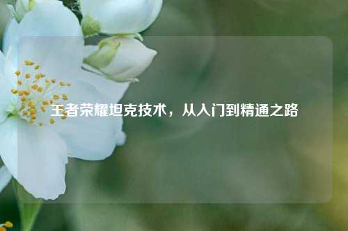 王者荣耀坦克技术，从入门到精通之路