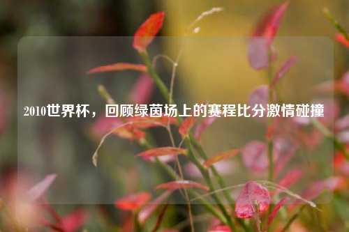 2010世界杯，回顾绿茵场上的赛程比分激情碰撞