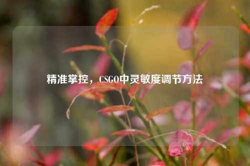 精准掌控，CSGO中灵敏度调节方法