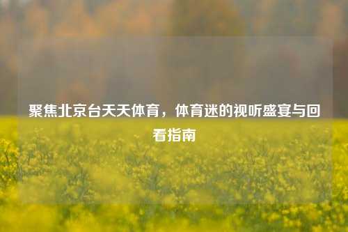 聚焦北京台天天体育,体育迷的视听盛宴与回看指南