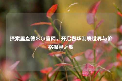 探索里查德米尔官网,开启奢华制表世界与价格探寻之旅