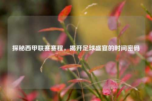 探秘西甲联赛赛程,揭开足球盛宴的时间密码