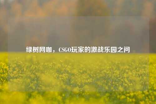绿树网咖，CSGO玩家的激战乐园之问