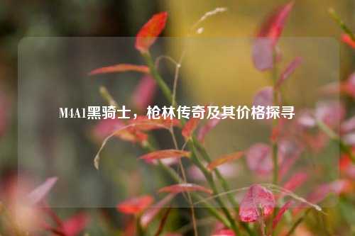 M4A1黑骑士，枪林传奇及其价格探寻
