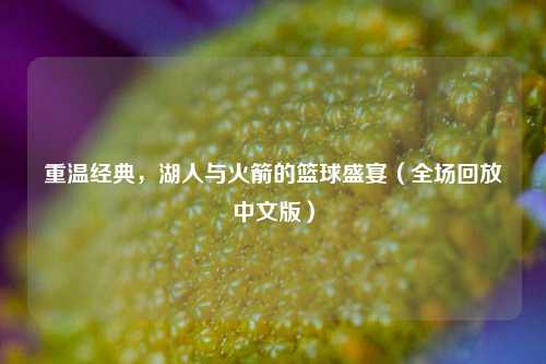 重温经典，湖人与火箭的篮球盛宴（全场回放中文版）