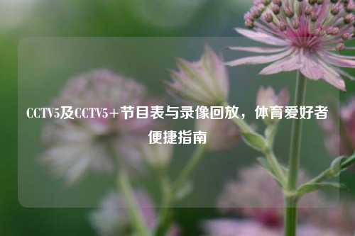 CCTV5及CCTV5+节目表与录像回放，体育爱好者便捷指南