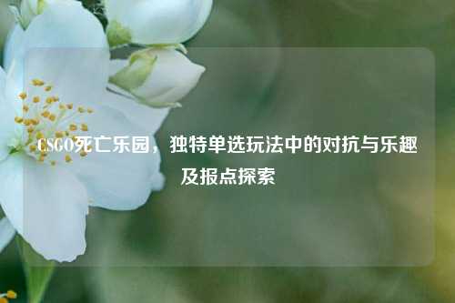 CSGO死亡乐园，独特单选玩法中的对抗与乐趣及报点探索