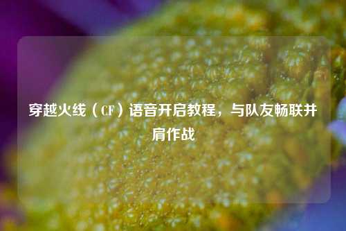 穿越火线（CF）语音开启教程，与队友畅联并肩作战