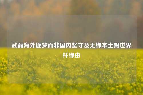 武磊海外逐梦而非国内坚守及无缘本土踢世界杯缘由