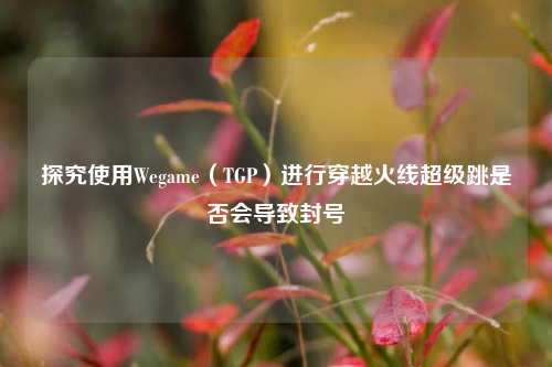 探究使用Wegame(TGP)进行穿越火线超级跳是否会导致封号