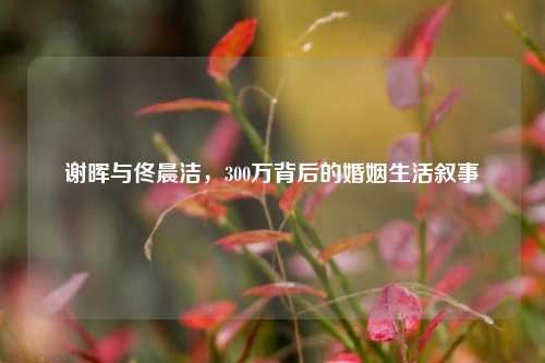谢晖与佟晨洁，300万背后的婚姻生活叙事