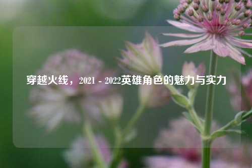 穿越火线，2021 - 2022英雄角色的魅力与实力