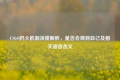 CSGO扔火机制深度解析，是否会烧到自己及相关语音含义