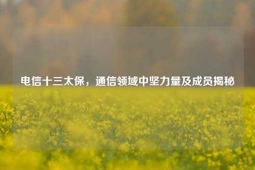 电信十三太保,通信领域中坚力量及成员揭秘