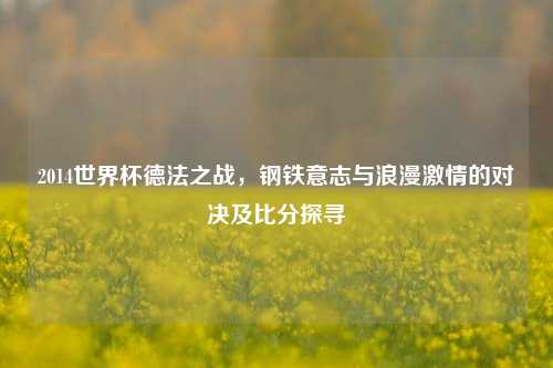 2014世界杯德法之战,钢铁意志与浪漫激情的对决及比分探寻